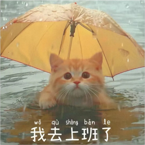 微信截图_20240902163342.png