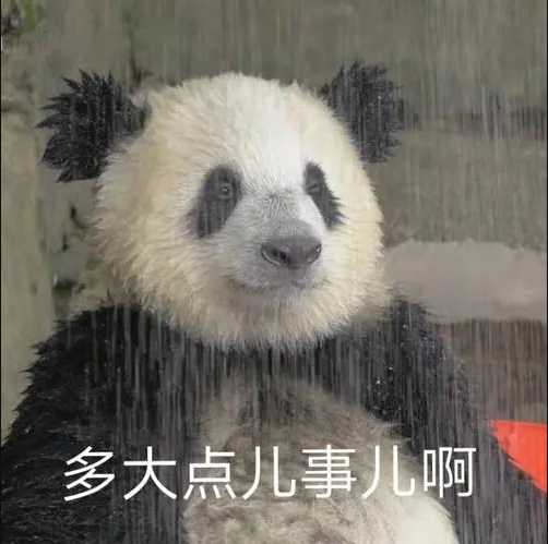 微信截图_20240902164233.png